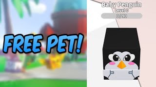 pet paradise roblox codes