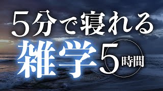 【睡眠導入】５分で寝れる雑学5時間【合成音声】