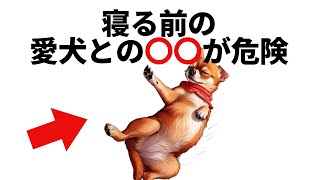 【絶対やめて！】愛犬との\