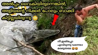 ക്യാമറയിൽ പതിഞ്ഞ ഞെട്ടിച്ച സംഭവം| Unbelievable Animal Moments Caught On Camera | Too Think Malayalam