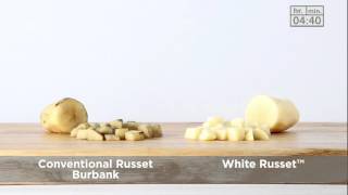 White Russet Time Lapse