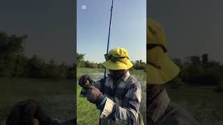 បបក់ត្រីនៅអាងតាម៉េង #fishing #fish #fisgh #fishnig