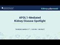 APOL1-Mediated Kidney Disease Spotlight | American Kidney Fund
