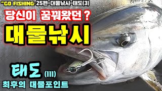 #고피싱 25편 대물낚시 태도3부 방어부시리 파핑낚시 입니다. 대물들과의 한판승부 보실만 할겁니다. popping for yellowtail \u0026 kingfish in Korea.