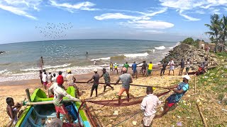 Amazing Beach Fishing - Catching Hundred Of Fish From Sea Shore