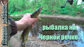 Рыбалка на Черной речке. Спиннинг с берега.