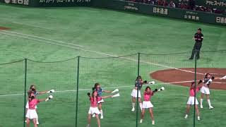 台湾代表チアガールによるパフォーマンス【アジアプロ野球チャンピオンシップ2017】