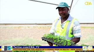 Horn Gardens in Hargeisa