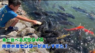 パラダイスに行こう！　南郷水産センターで魚を取って食べよう。