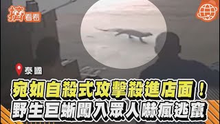 宛如自殺式攻擊殺進店面! 野生巨蜥闖入眾人嚇瘋逃竄｜TVBS新聞｜擠看看 #Shorts