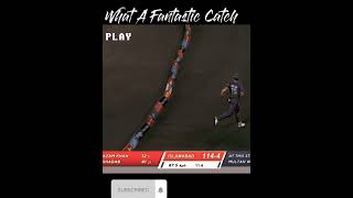 What A Fantastic Catch | Best Catch Toady | #cricket #catch #bestcatch #shorts #shortsvideo