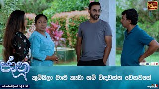 කුම්බලා මාළු කෑවා නම් විඳවන්න වෙනවනේ