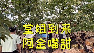 小翠带堂姐参观养鸡场，阿金哥嘴甜不停叫，她误以为阿金有企图