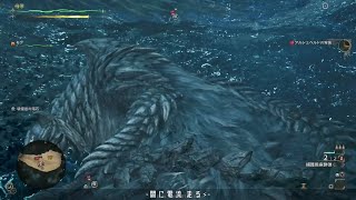 【MHWilds Beta】 アルシュベルド ヘビィボウガン 双剣 初捕獲… 17’21”76