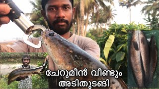 #കുറെ നാളുകൂടി പഴയ SPOTTIL പോയപ്പോള്‍ #SNAKEHEAD FISHING