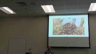 Riccardo Terrell: Functional Reactive Programming for Natural User Interfaces - λC 2016