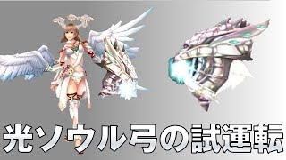 【ドラプロ】光のソウル弓で新ボスに挑戦してみた！