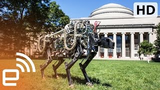Darpa Director Arati Prabhakar Engadget Expand
