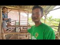 CERITA SUKSES PAK MARWANTO TERNAK KAMBING & SAPI DI LAHAN TRANSMIGRASI PESISIR SEPUNGGUR BULUNGAN