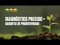 Análise foliar: os riscos da contaminação da amostra para o diagnóstico da nutrição vegetal