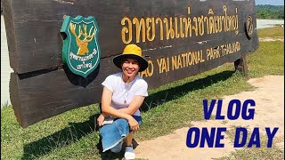 Vlog 1 วัน เขาใหญ่ เขายายเที่ยง #เขาใหญ่ #เขายายเที่ยง