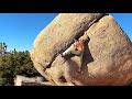 Dreaming of the Master - Joshua Tree