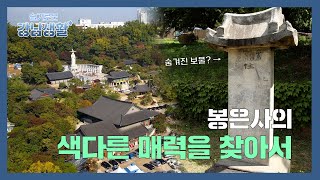 [슬기로운 강남생활] 봉은사의 색다른 매력을 찾아서