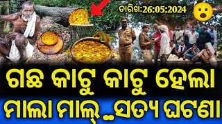 ସେମଲା ଗାଁର ଏହି ସତ୍ୟ ଘଟଣା..ଗଛ କାଟି ହେଲା ମାଲା ମାଲ୍ 😮| Odia real Short Story | Odia Magic money Story