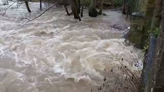 Bega River swells: Lemgo's powerful floodwaters