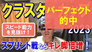 クラスターカップ【盛岡競馬2023予想】ダートスプリンターはこの馬！！