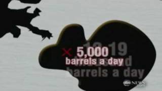 ABC Nightline:Oil spill in the Gulf by the numbers