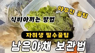 [자취팁] 식비아끼는 방법! 남은야채 보관법