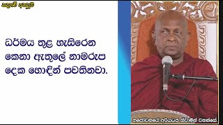 ධර්මය තුළ හැසිරෙන කෙනා ඇතුලේ නාමරූප දෙක හොඳින් පවතිනවා.362පූජ්‍ය තපෝවනයේ අරියධජ හිමි