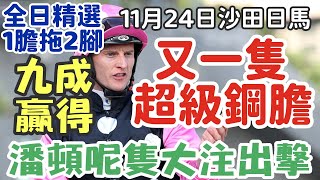 賽馬貼士11月24日星期日沙田日馬，又一隻超級鋼膽，潘頓呢隻大注出擊，九成贏得，全日精選1膽拖2腳，多謝支持訂閱。