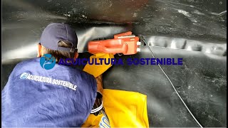 Fabricación Tanques De Geomembrana | Para el cultivo intensivo de TILAPIA MOJARRA ROJA | COLOMBIA