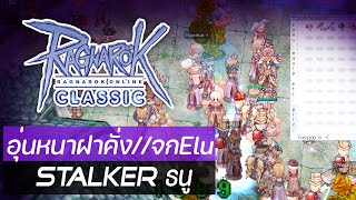 Ragnarok Classic อุ่นหนาฝาคั่ง Stalker ธนู จก Steal Elu