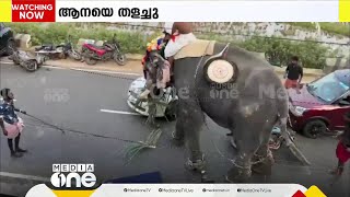 തൃശൂർ കുന്നംകുളത്ത് ഉത്സവത്തിനെത്തിച്ച ആന ഇടഞ്ഞു