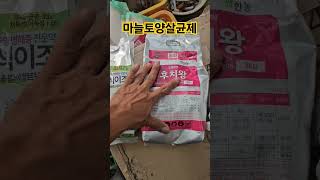 마늘밭 토양살충+살균제