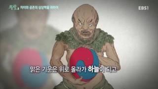 EBS 특별기획 통찰(洞察) - 차이와 공존의 상상력을 위하여_#002