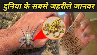 दुनिया के 10 सबसे जहरीले जानवर | Most Poisonous Animals in the World\ Top 10 Highest