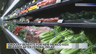 Grocery benefits for New Mexico kids to be released after federal delay, state says