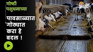 पावसाळ्यात जनावरांच्या गोठ्याचं व्यवस्थापन | Rainy season management of animal shed | ॲग्रोवन