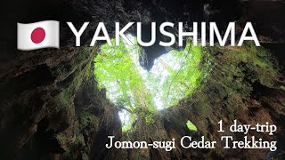 How to trek in Yakushima, Japanese beautiful world heritage island! Kagoshima, Japan travel