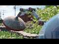 Grounded - Hedge Surveyor Cutscene