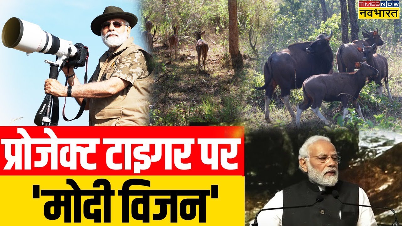 Project Tiger के 50 साल पर PM ने 'स्टैंडिंग ओवेशन' से की संबोधन की ...