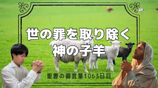 【今日あなたに伝えたい聖書の言葉day1063】神の子羊イエス・キリストが捧げられ、あなたの罪は赦された！イエス・キリストを信仰しましょう！そうすればあなたは永遠の天国へ入ることができます！！