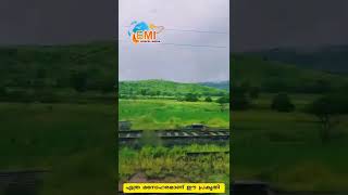 എത്ര മനോഹരമാണ് ഈ പ്രകൃതി ❤️❤️ / beutiful nature | #shorts