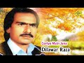 Dilawar Raza || Goriye Main Jana || Pakistani Regional Song