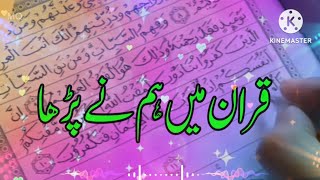 Quran Main Tune Kaha Irshad pac hai yah tera [Slowed+Reverb status] New Naat Sharif Status mp3