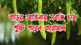 বাড়ির আঙিনায় সবজি চাষ পুষ্টি পাবেন বারোমাস। পারিবারিক পুষ্টি সবজি বাগান। সবজি চাষাবাদ পদ্ধতি